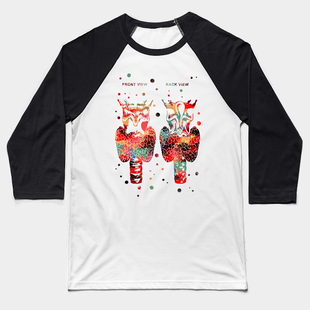 Thyroid gland Baseball T-Shirt by RosaliArt